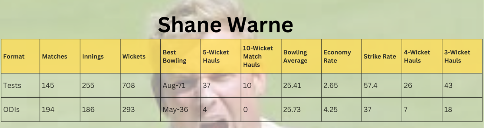 Shane Warne top bowler in 90s