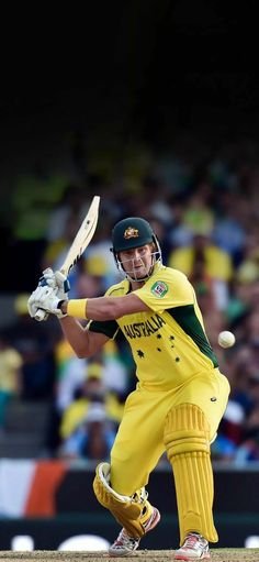 Shane Watson
